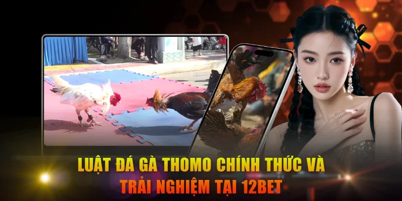 Đá Gà Thomo